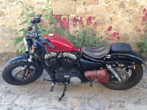 Sacoches Myleatherbikes Harley Sportster Forty Eight (53)